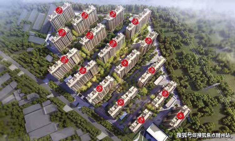 白草洼村委会招聘动态与岗位分析报告