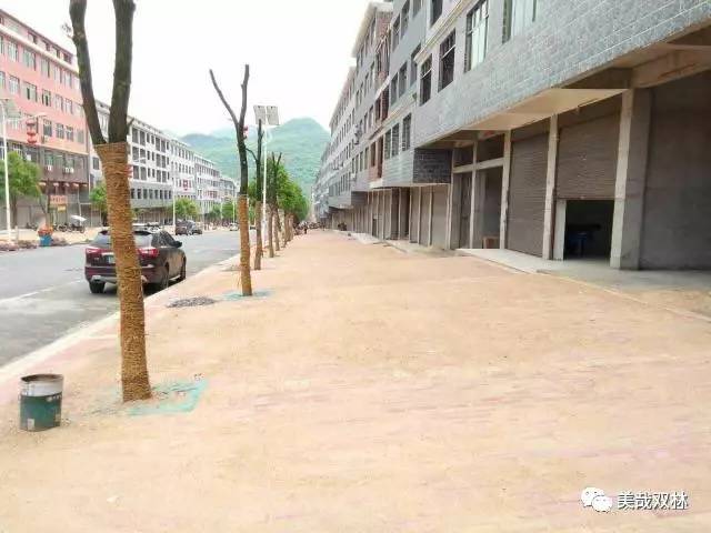 高庙集镇最新项目，地方崭新发展的引领动力