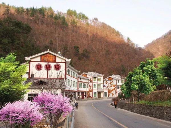 只如村新项目，重塑乡村魅力，引领未来发展方向