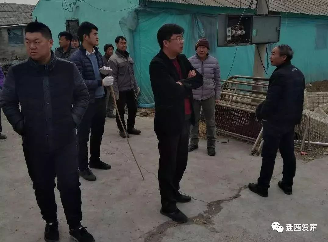 妙姗