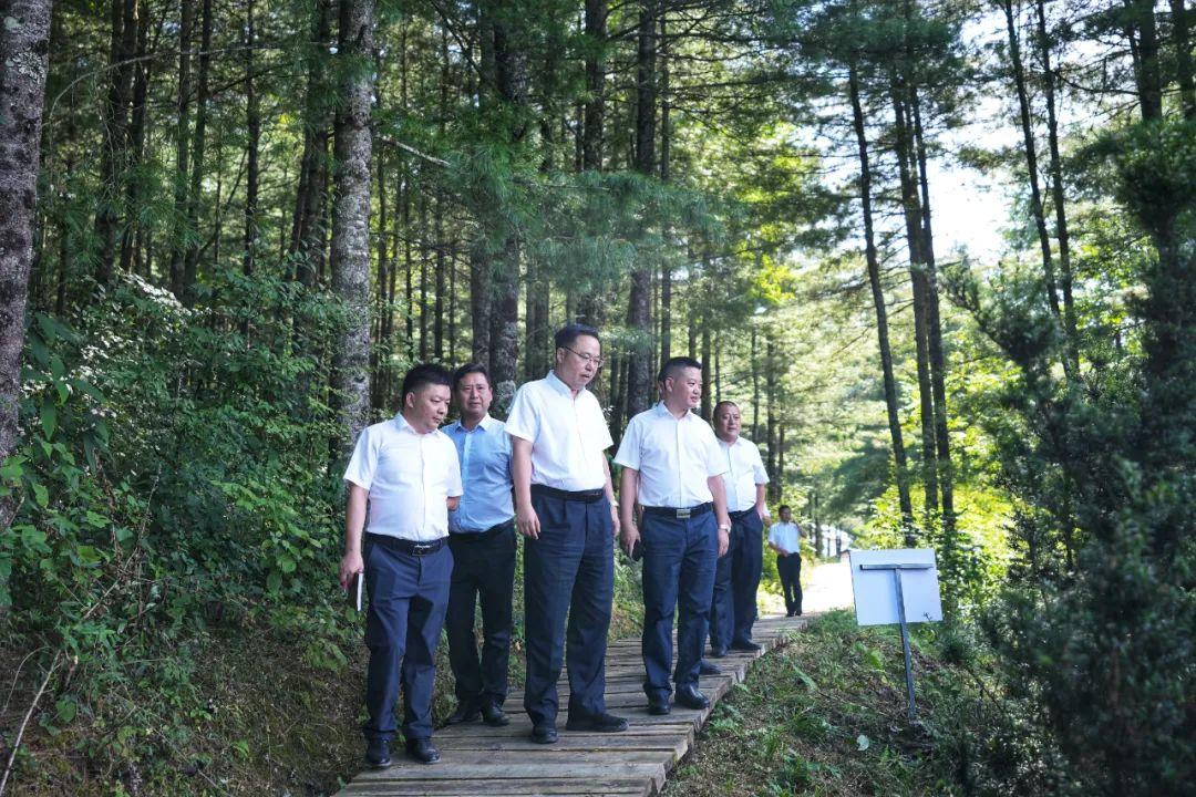 麻山区应急管理局最新项目，构建现代化应急管理体系全新亮相