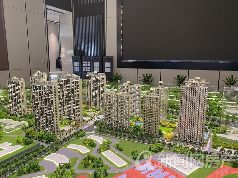 东园开发区最新新闻动态全面深度解析