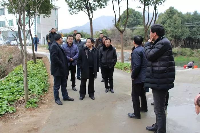 汪巴村新项目启动，乡村振兴新篇章