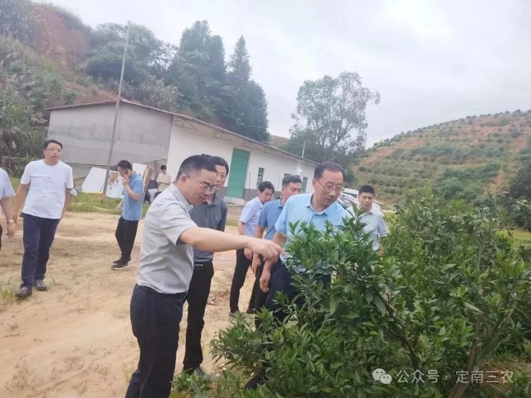公腊胡洞乡领导团队全新亮相，未来展望与行动指南