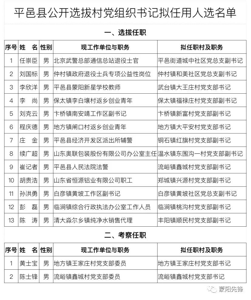 李坪村委会人事任命重塑乡村领导力，推动地方发展新篇章