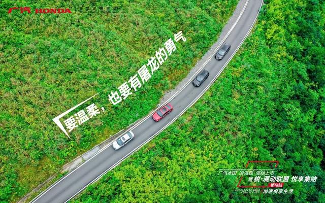 岭峰林场最新发展规划概览