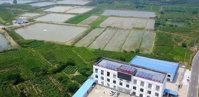 安家河村委会新项目启动，重塑乡村，迈向繁荣之路