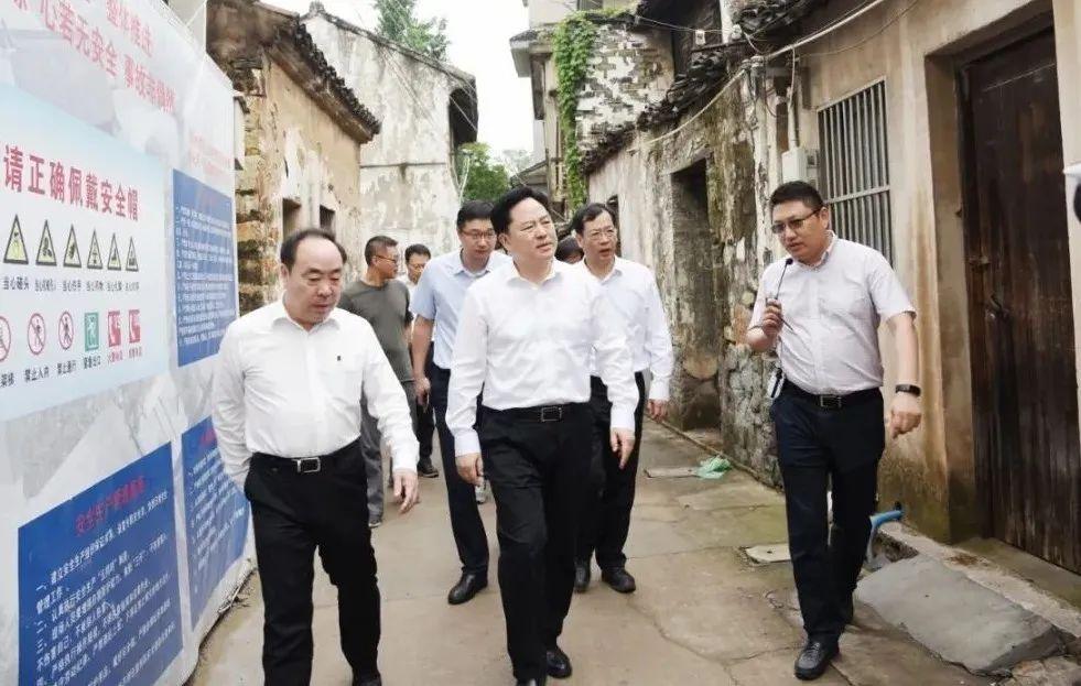 焦溪镇最新新闻概览，聚焦时事动态