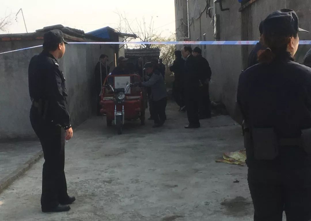 正阳关镇最新项目，地区发展的强大引擎驱动力