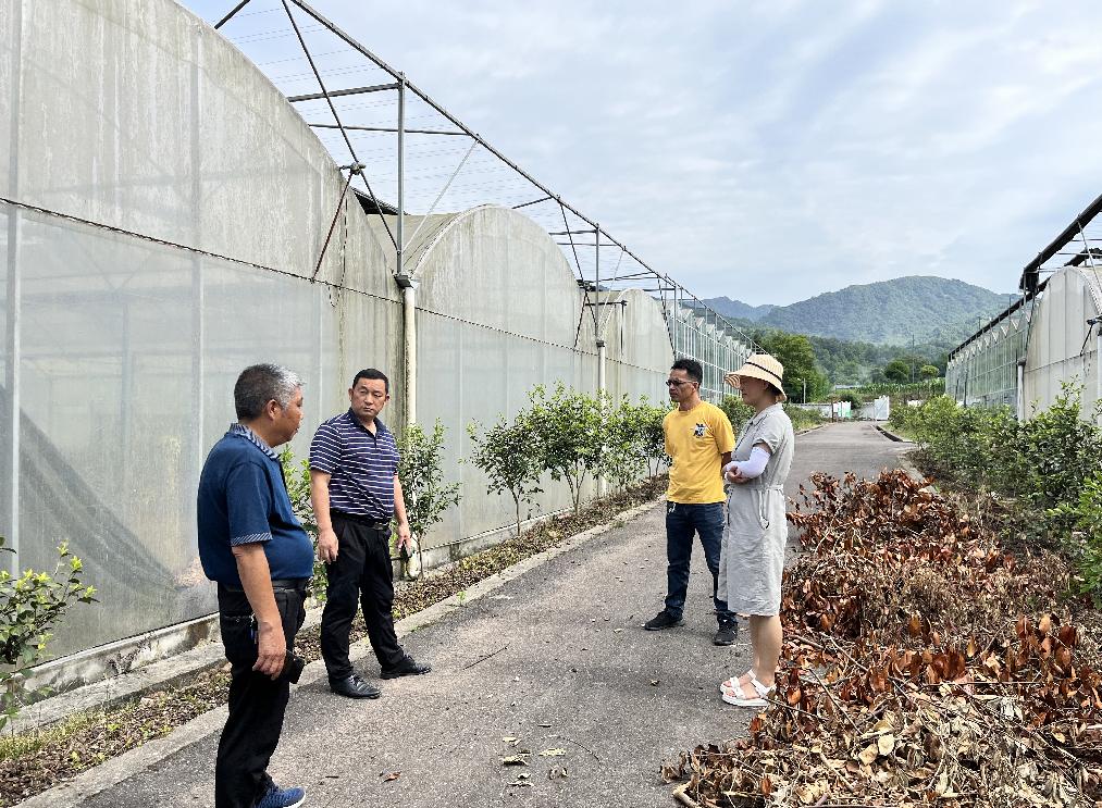 雨城区农业农村局新项目推动农业现代化助力乡村振兴